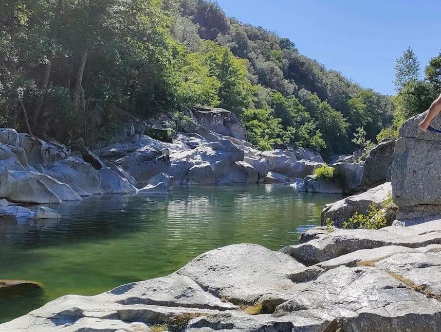 Апартаменти Gite Des 3 Vallees - Le Soleil Des Cevennes Сен-Жан-дю-Гар Екстер'єр фото