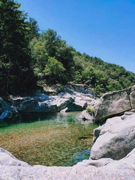 Апартаменти Gite Des 3 Vallees - Le Soleil Des Cevennes Сен-Жан-дю-Гар Екстер'єр фото