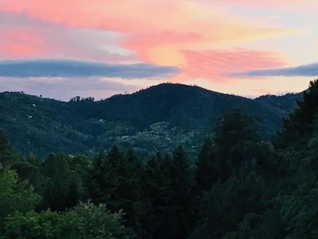 Апартаменти Gite Des 3 Vallees - Le Soleil Des Cevennes Сен-Жан-дю-Гар Екстер'єр фото