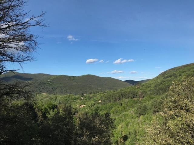 Апартаменти Gite Des 3 Vallees - Le Soleil Des Cevennes Сен-Жан-дю-Гар Екстер'єр фото